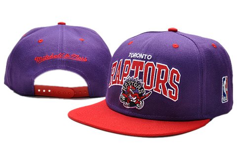 Toronto Raptors NBA Snapback Hat TY022